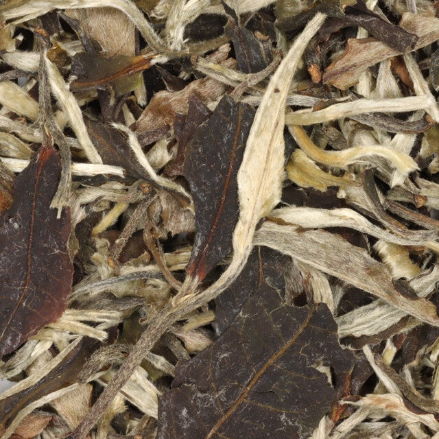 Yue Guang Bai "Moonlight White"