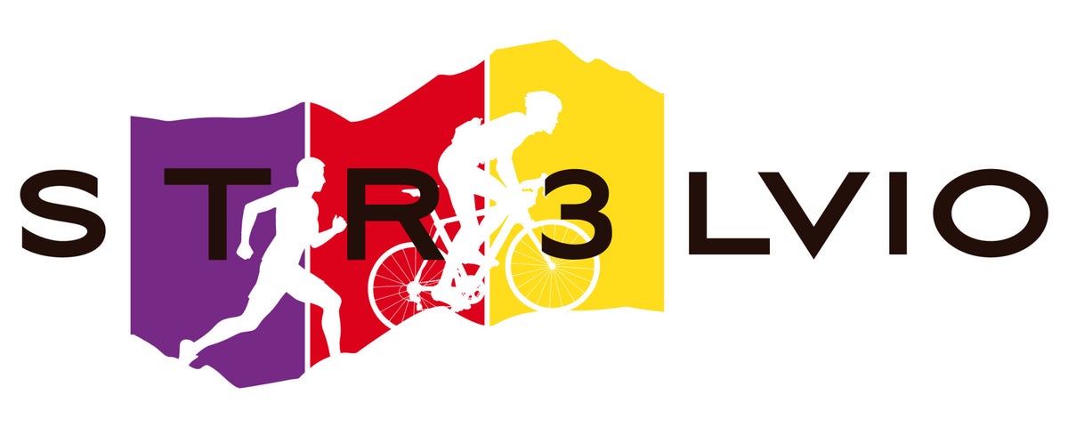 STICHTING STRELVIO logo