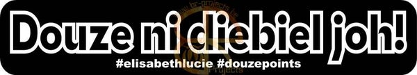 Car sticker Douze ni diebiel! #elisabethlucie