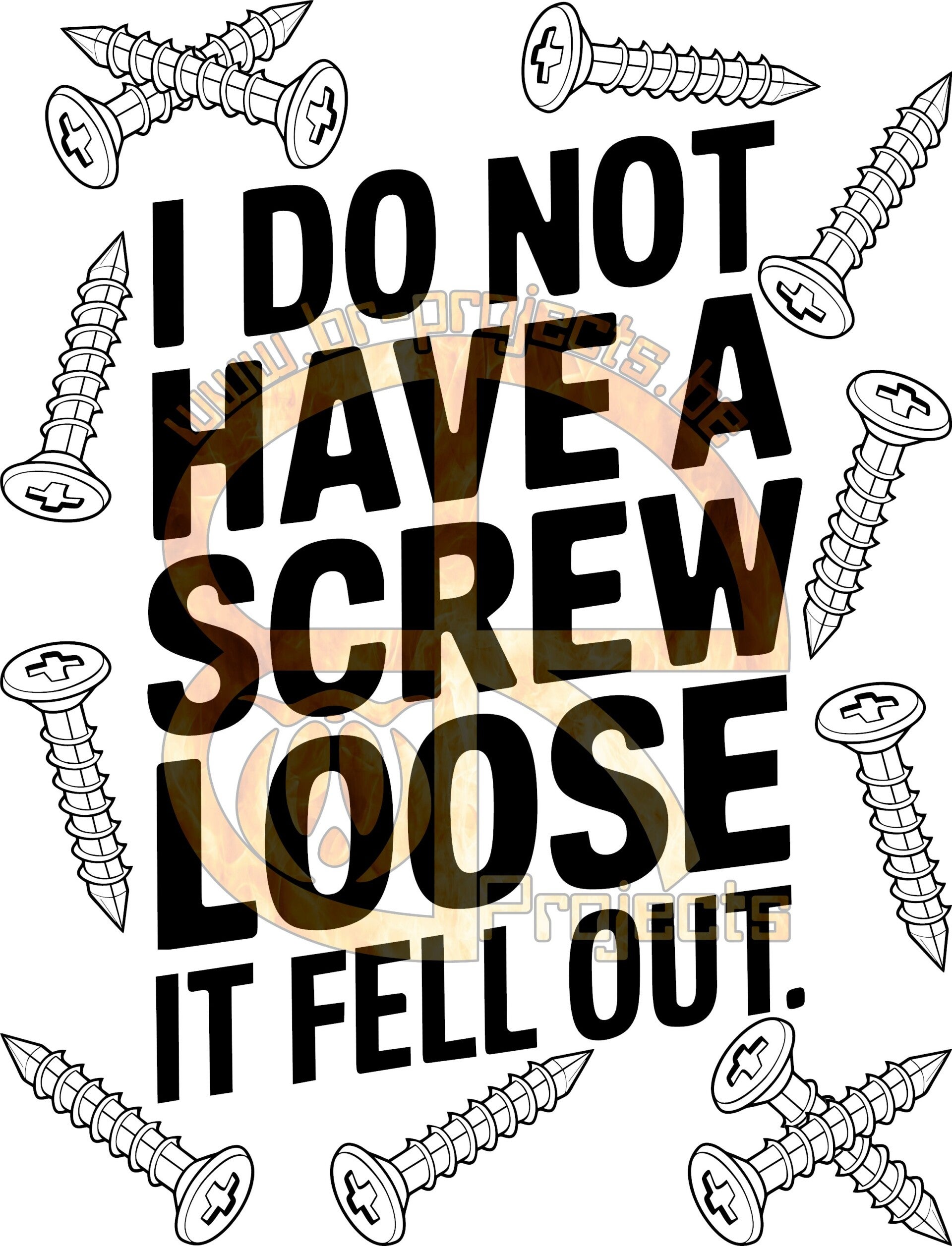 I do not have a screw loose it fell out