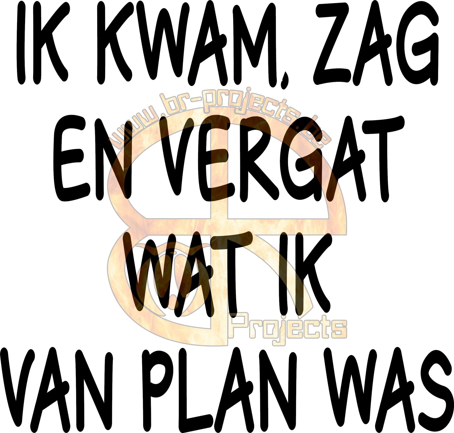Ik kwam, zag en vergat wat ik van plan was