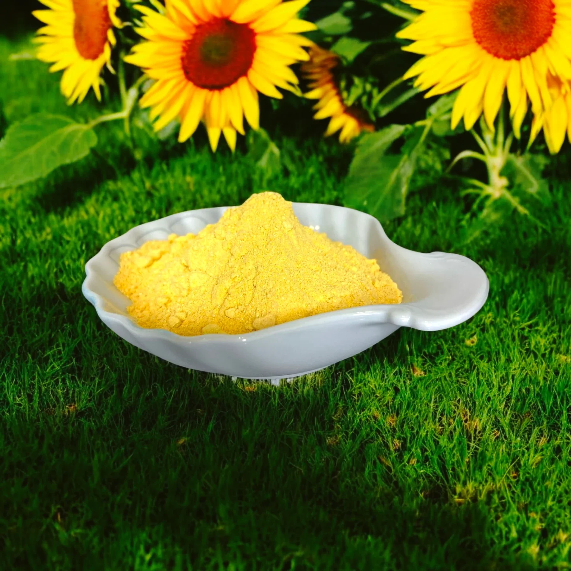 Sensus Lotus 🪷 Sunshine Yellow