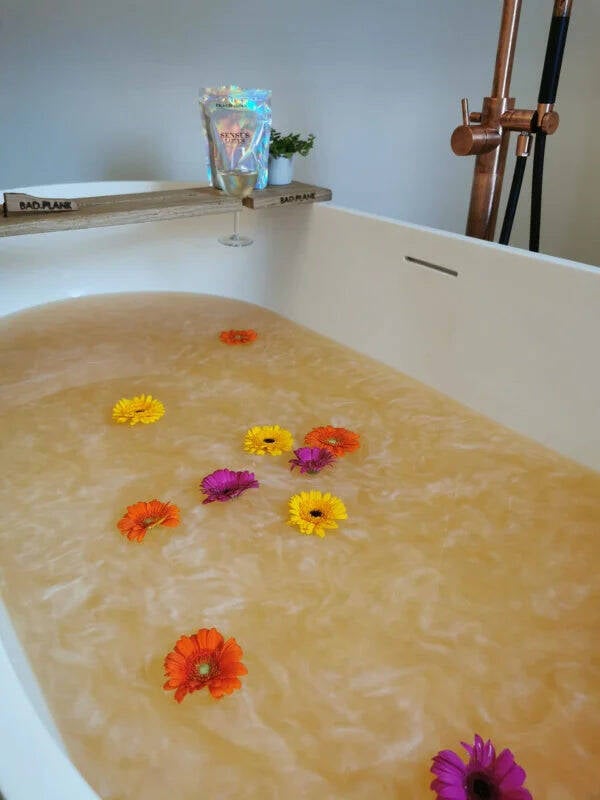 Sensus Lotus 🪷 Peach Orange