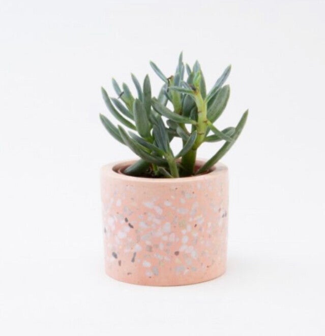 Bloempotje Terrazzo