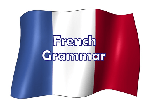 French Grammar flag logo for online GCSE tutoring.
