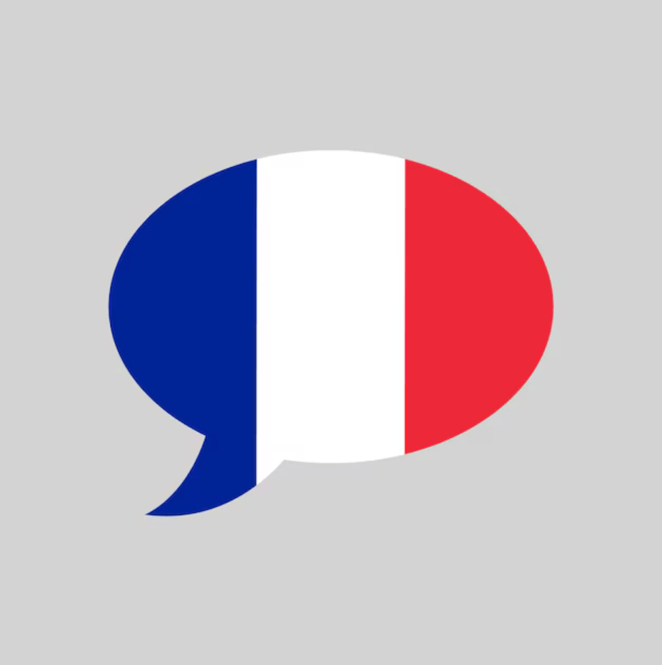 France flag speech bubble logo for A-Level French Speaking tuition. 