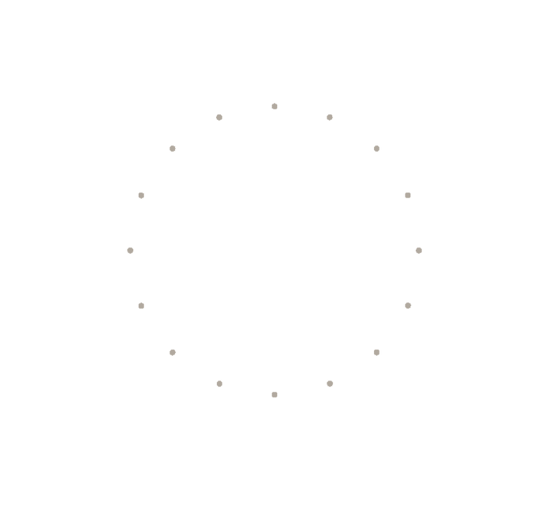 Mivadami paardenbloem