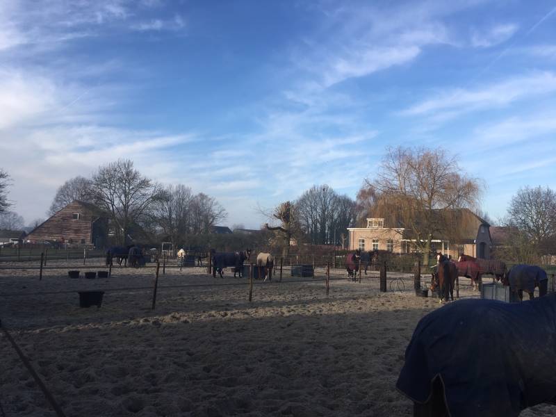 granulight paddocks Elburg