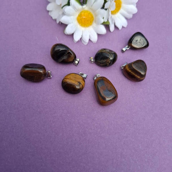 Hanger tijgeroog.  HGR-TO