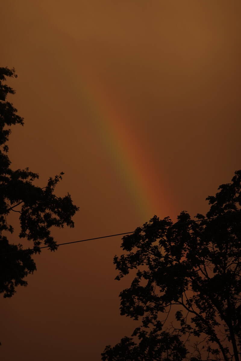 20190725_080332000_ios-standard.jpg