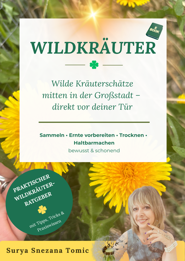 Wildkräuter E-Book