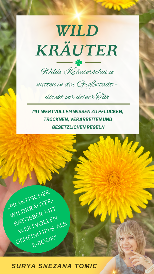 Wildkräuter E-Book