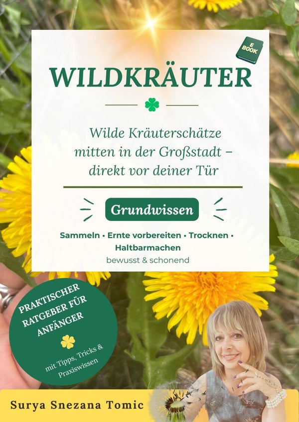 Wildkräuter – Wilde Kräuterschätze in der Großstadt direkt vor deiner Tür / E-Book