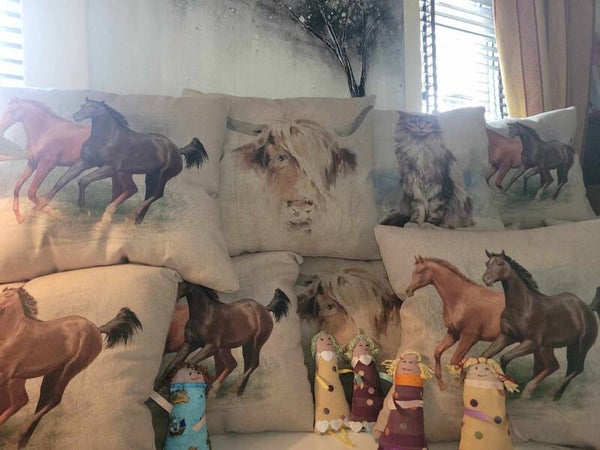 Cushions mix in Match £15 each