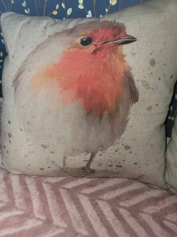 Robin cushions