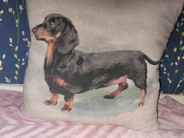 Dachshund cushions