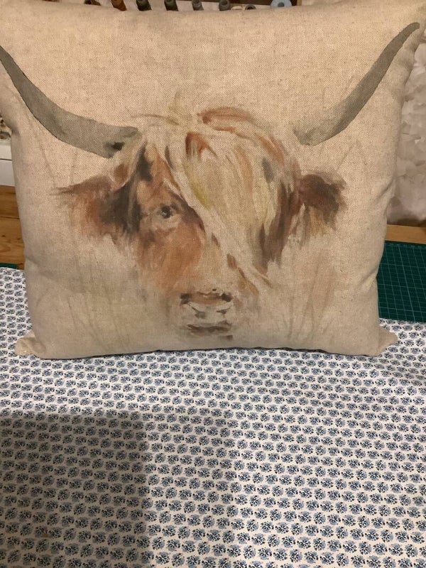 Highland cows cushions