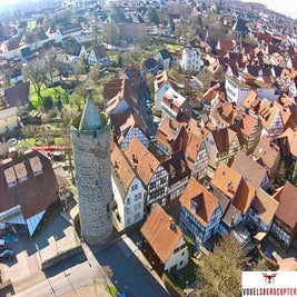 Storchennest Alsfeld