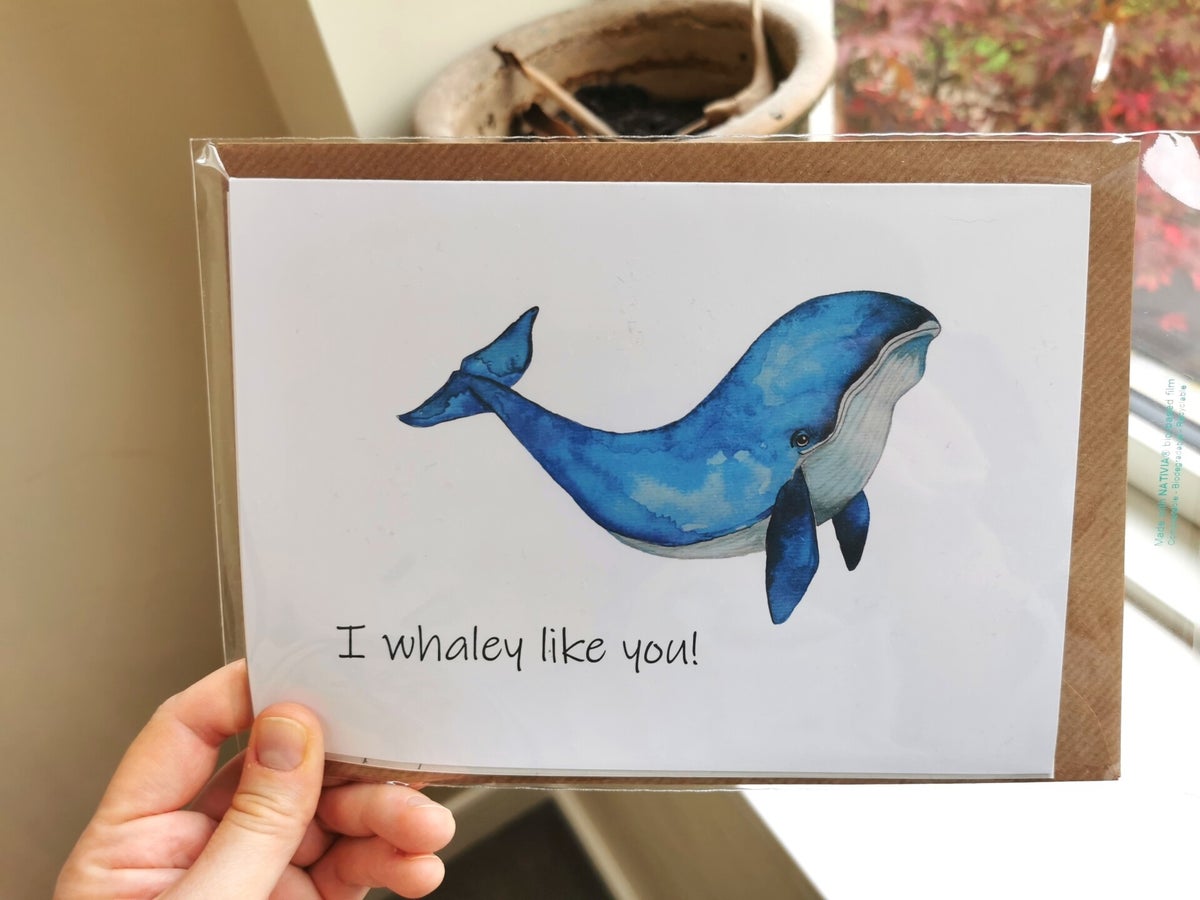 Funny Cards | Wildnwonderfulprints