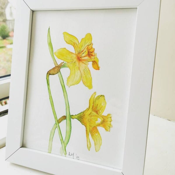 Daffodils