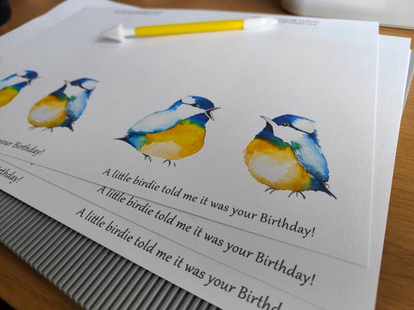 A5 A little birdie told me