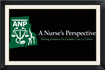A Nurses' Perspective- Professional Nursing Consulting Services