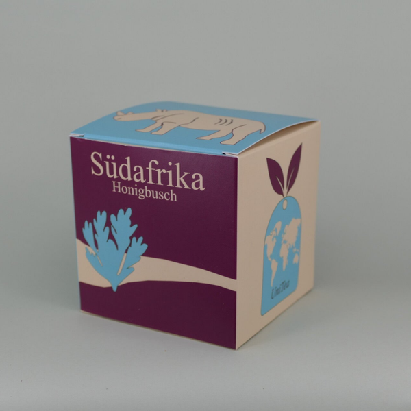 Südafrika - Honigbusch