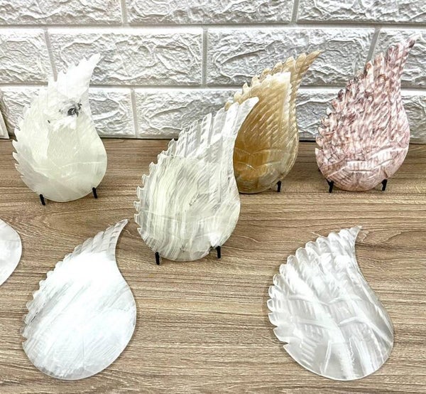 ALA DE ÁNGEL DE ÓNIX