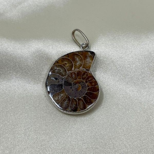 DIJE DE FÓSIL DE AMMONITE