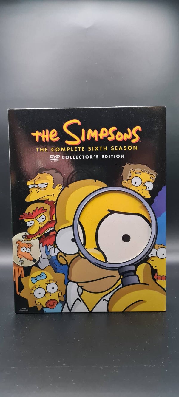 The Simpsons Seizoen 6