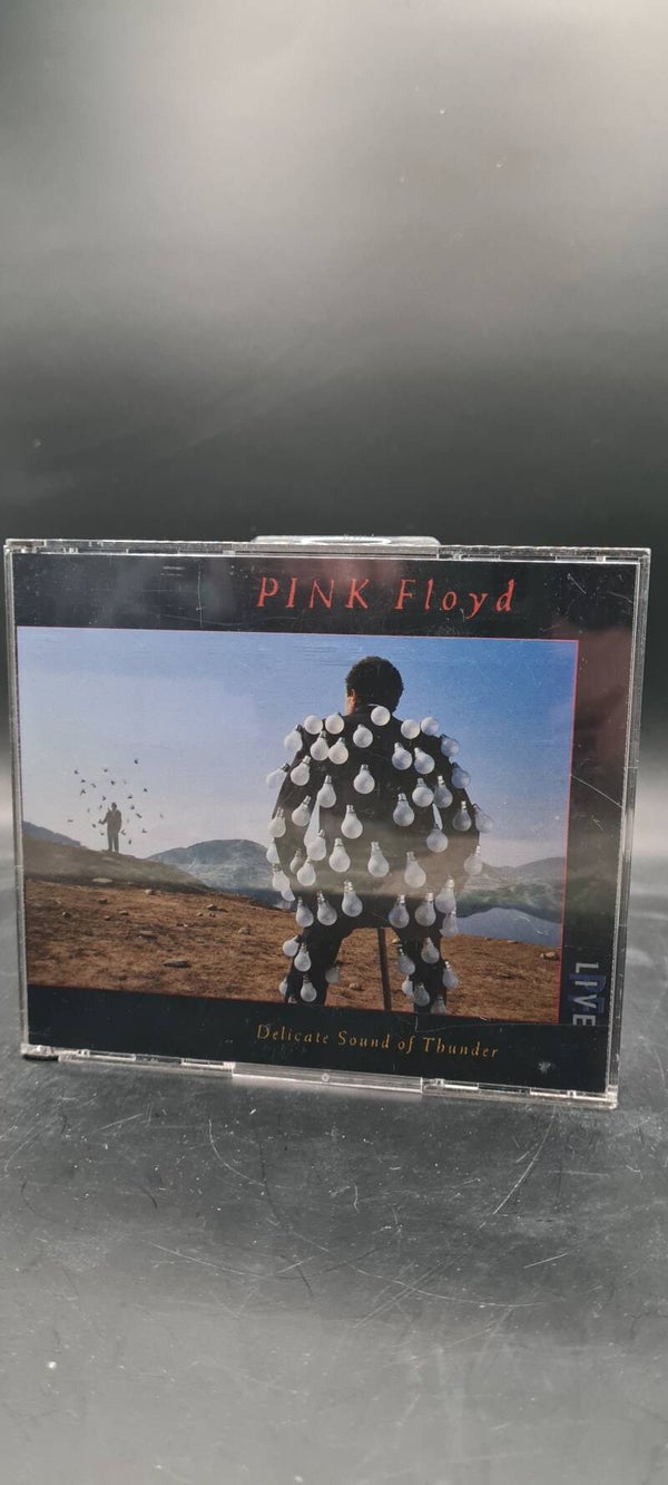 Pink Floyd Delicate Sound of Thunder Live (CD)