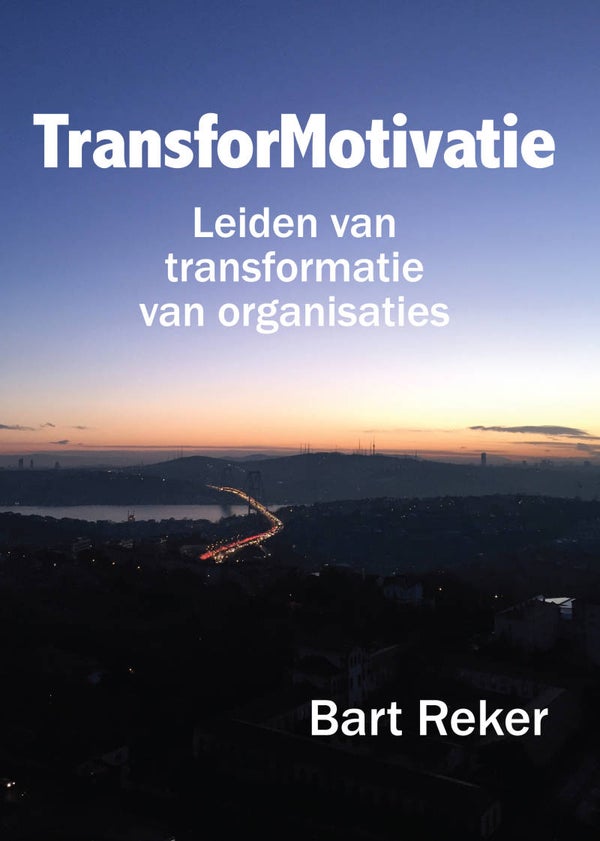 TransforMotivatie, Leiden van transformatie van organizaties