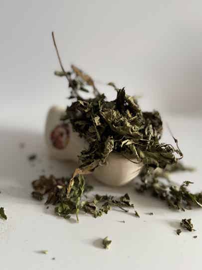 Hazel's hazelnootblad