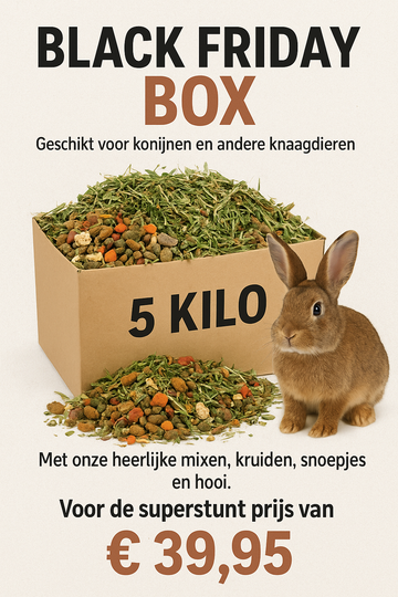 Black Friday Box 🐰🐭🐹