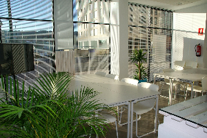 China WFOE Office