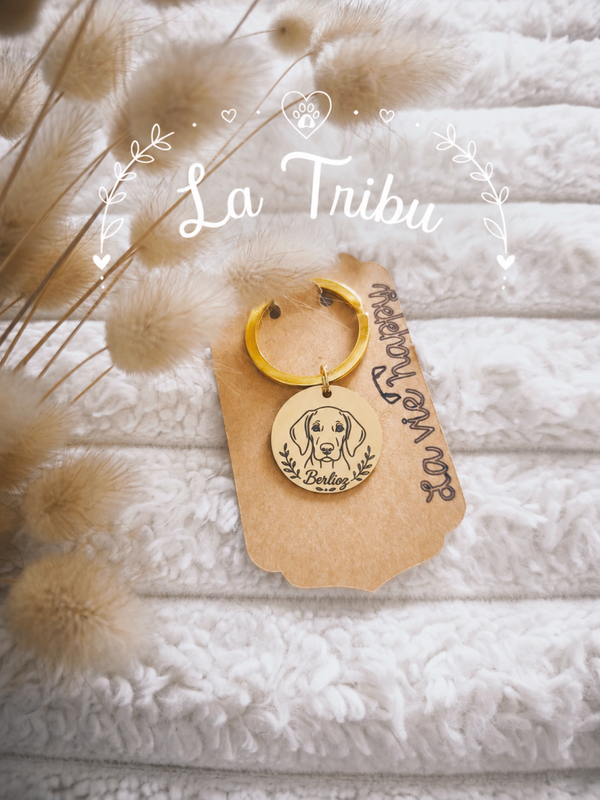 La Tribu