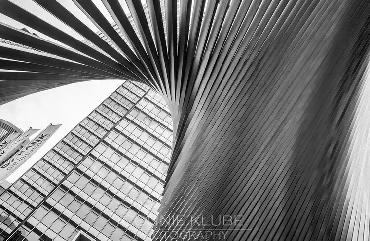 arch12-jpg-standard-858q1q.webp