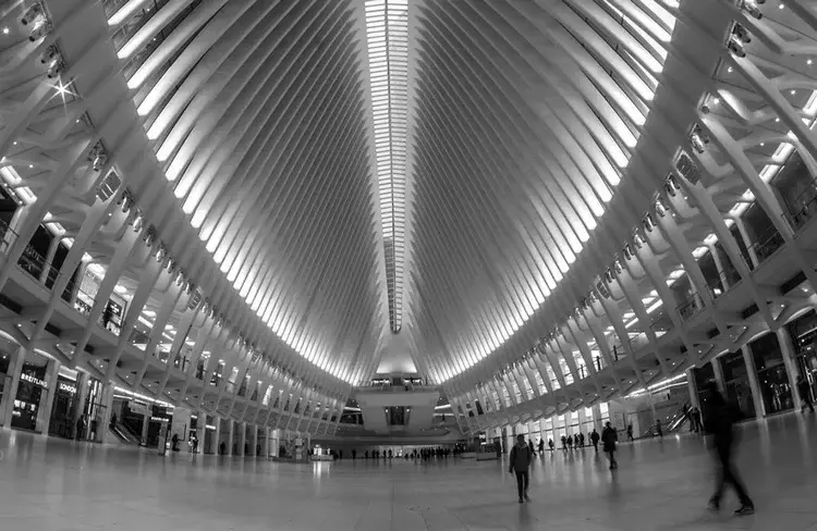 arch19-jpg-standard-edxlvl.webp