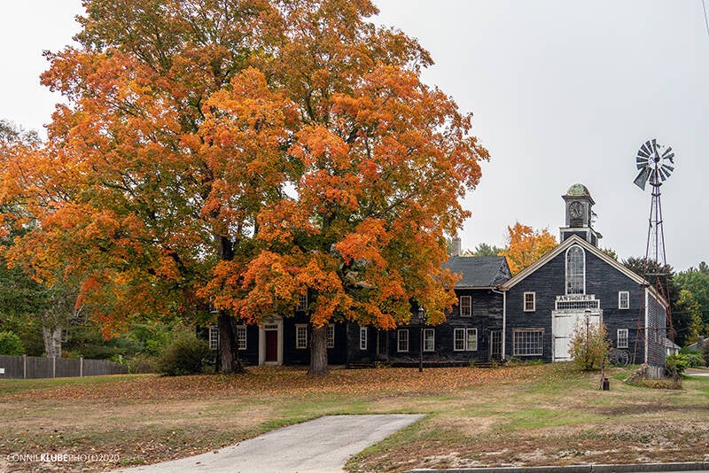 maine-165-standard.jpg