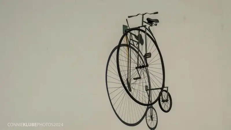 misc25-jpg-standard-jlgmq0.webp