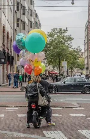 street33-jpg-standard-1rhy3v.webp