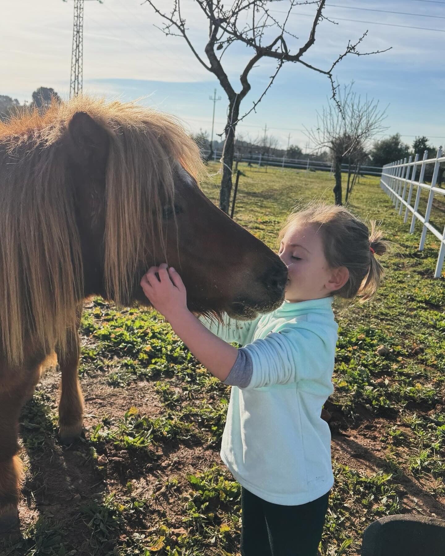 Psicóloga terapias asistidas con caballos y perros en Palma de Mallorca
