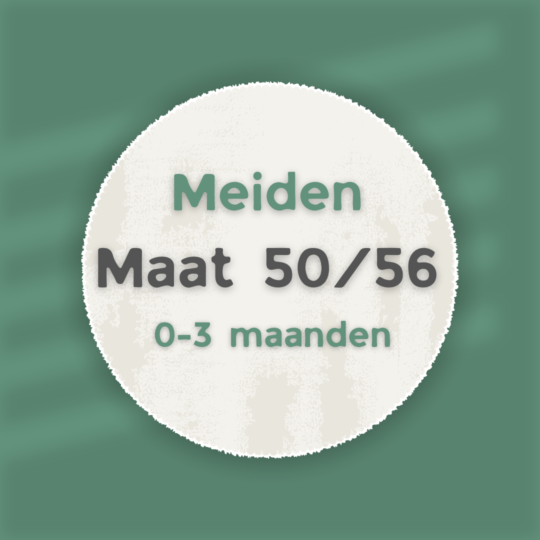 shop tweedehands kleding voor meiden in maat 50/56 van 0 tot 3 maanden