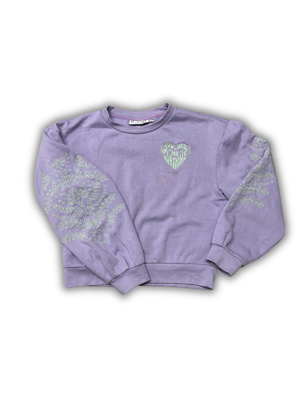 D-zine Trui Maat 152/158 - 1196