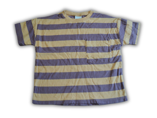 Zara T-shirt Maat 104 - 2115