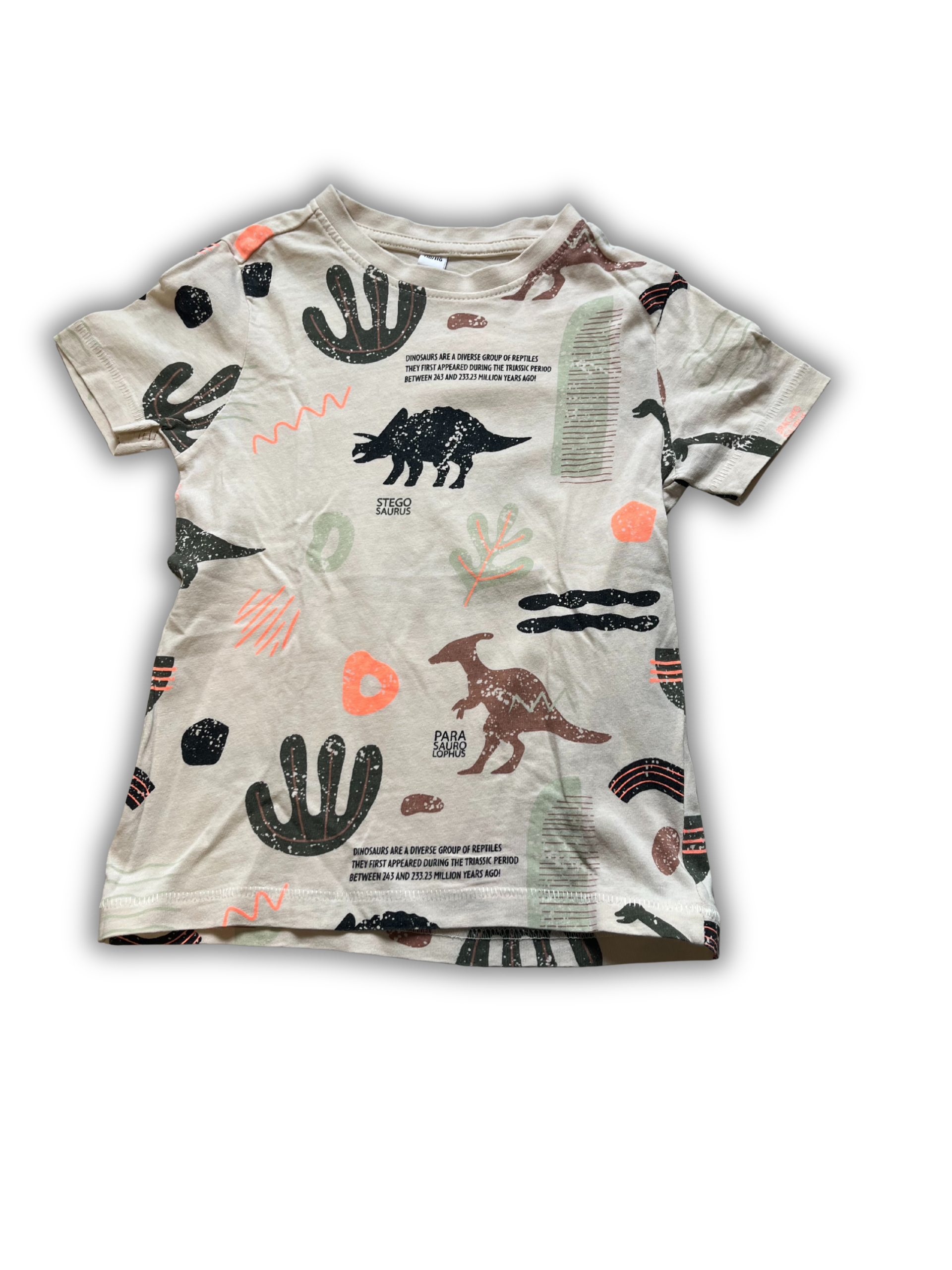 Zeeman T-shirt Maat 110/116 - 2653