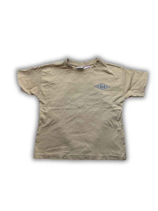 Zara T-shirt Maat 110 - 2811