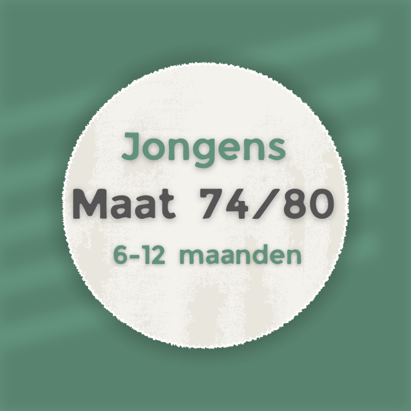 shop tweedehands kleding voor jongens in maat 74/80 van 6 tot 12 maanden