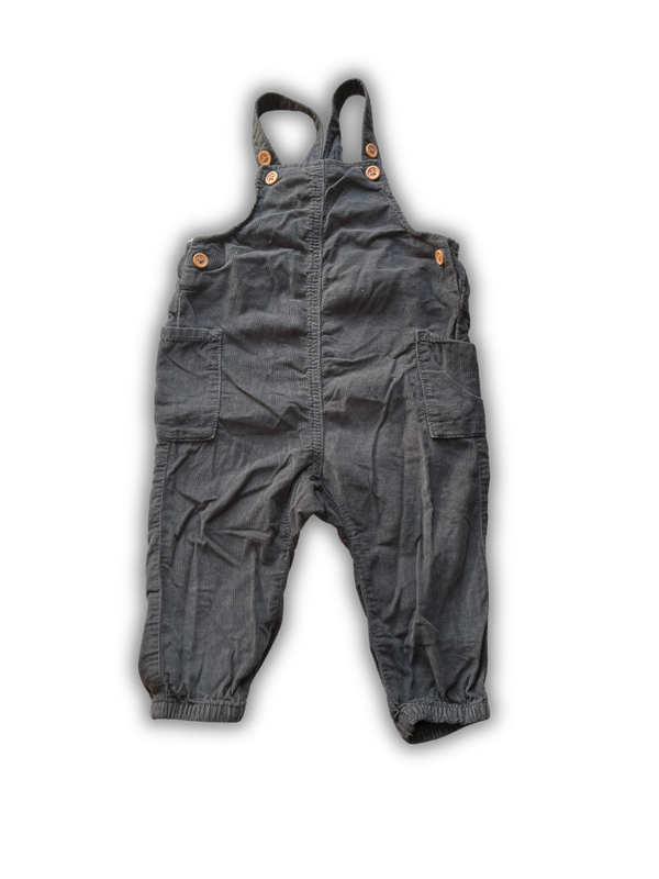 Hema Tuinbroek Maat 80 - 4499