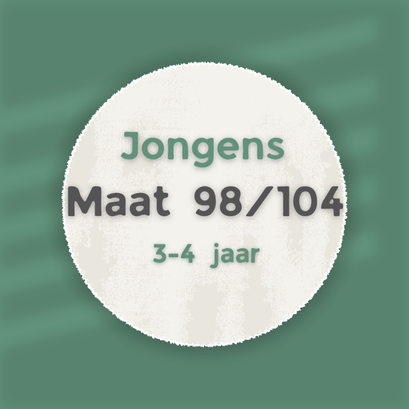 shop tweedehands kleding voor jongens in maat 98/104 van 3 tot 4 jaar